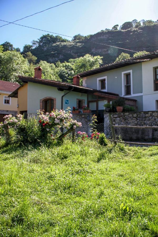 Casa Clarita Villa Caño Buitenkant foto