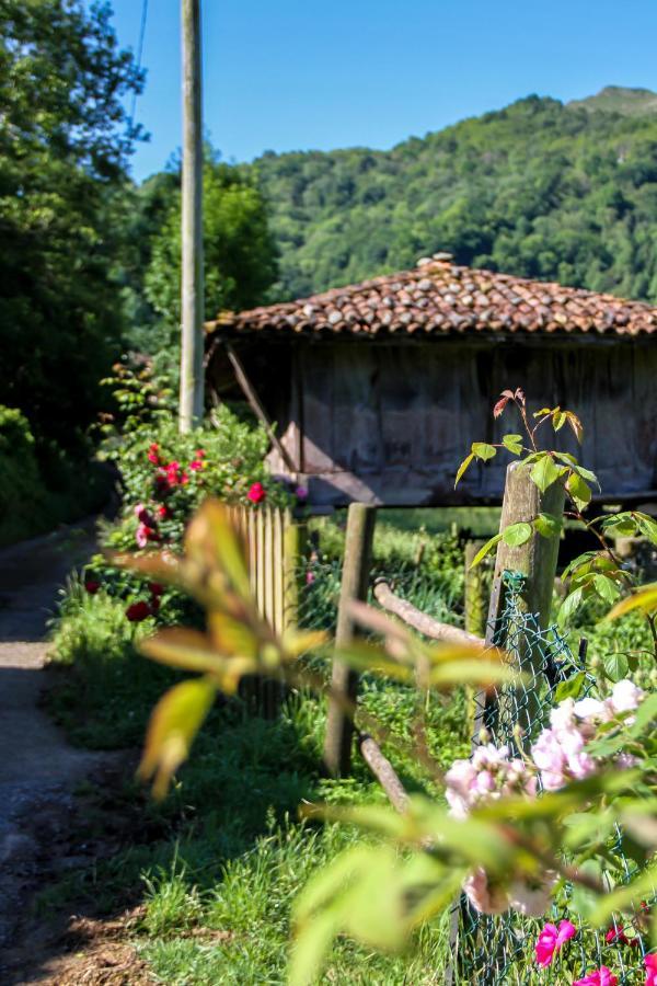 Casa Clarita Villa Caño Buitenkant foto