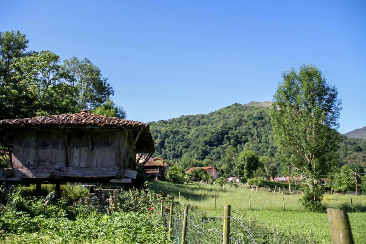 Casa Clarita Villa Caño Buitenkant foto